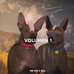 Mr. Pig x Gal, Vol. 1