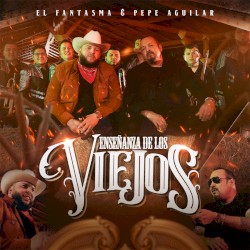 Enseñanza de los viejos