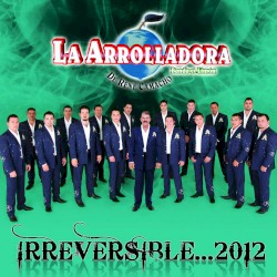 Irreversible ... 2012