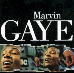 Marvin Gaye Live