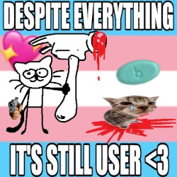Despite Everything, It's Still User