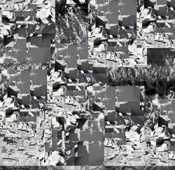 Photon Smasher / Warp Drive 0459