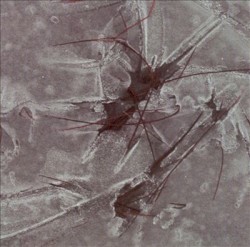 Ilmajousi – Luftstråk