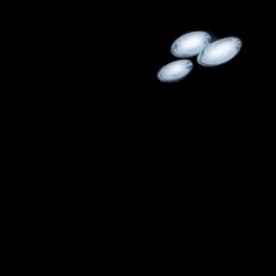 LIVE at 日比谷野音 2003.05.05 〜Man Drive Trance Special〜