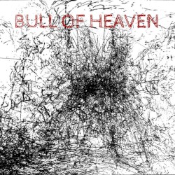 In Your Soft Authority