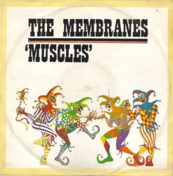 Muscles