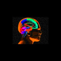 029: My Daughter Dies in My Arms