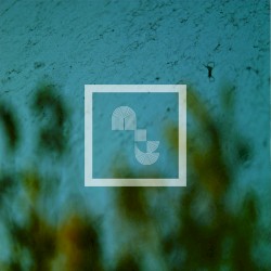 Every Day Feels Like a New Drug