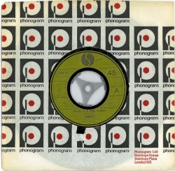 Sheena Is a Punk Rocker