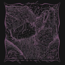 The Moon Is a Dead World