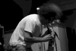 My Whole Fish Is a Tree