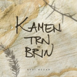 Kamen, trn in brin