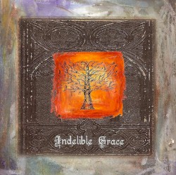Indelible Grace