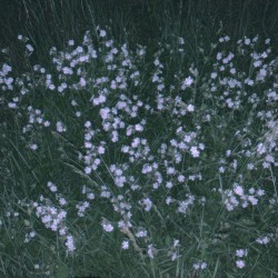 if u can take my pain away