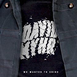 We Wanted to Shine