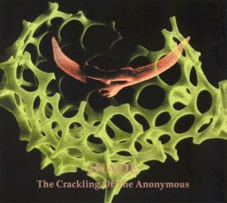The Crackling of the Anonymous