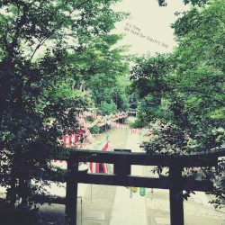 It’s Time We Feed Our Electric Dog