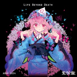 Life Beyond Death
