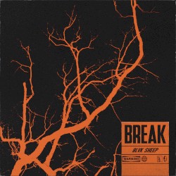 Break