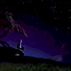 Alone With The Stars