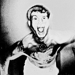 Here Come The Wolves