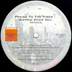 Praise to the Vibes / Crying Over You (remixes)