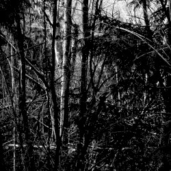 The Natural World