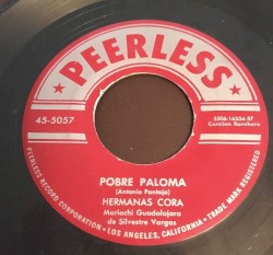 Pobre paloma / El motivoso