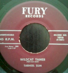 Wildcat Tamer / Number 9 Train