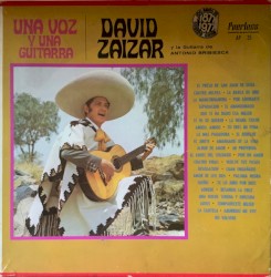 Una voz y una guitarra