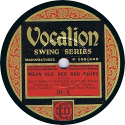 Mean Old Beg Bug Blues / Yellow Dog Blues