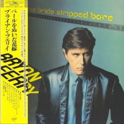 The Bride Stripped Bare