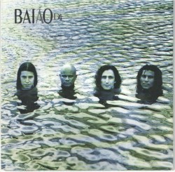 Aonde a onça bebe água