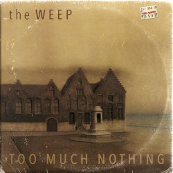 Too Much Nothing