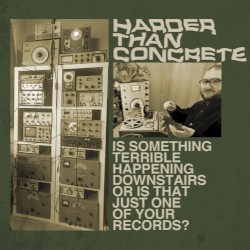 Is Something Terrible Happening Downstairs or Is That Just One of Your Records?