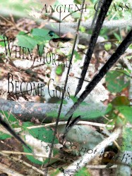 Freeroam 175 :: Three Times We've Been Freed VI -- "grastop"