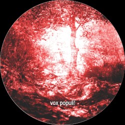 Soft Entrance to Nature's Camino de Luz