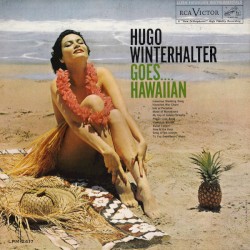 Hugo Winterhalter Goes....Hawaiian