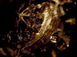 Artifacts of Disbelief