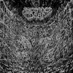 Evenfall of the Apocalypse