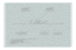 7o 2as