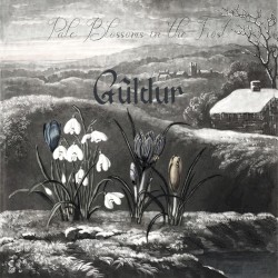 Pale Blossoms in the Frost