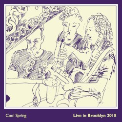 Live in Brooklyn 2018