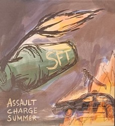 Assault Charge Summer