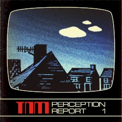 Perception Report 1