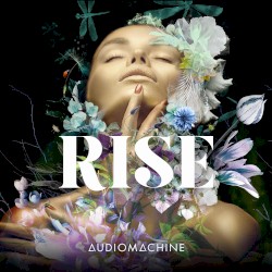 Rise