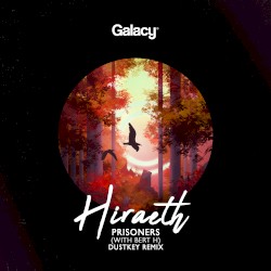 Prisoners (Dustkey remix)