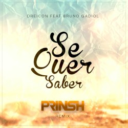 Se Quer Saber (PRINSH Remix)