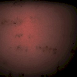 Tagebuchblätter (2024)