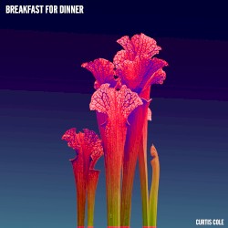 Breakfast for Dinner